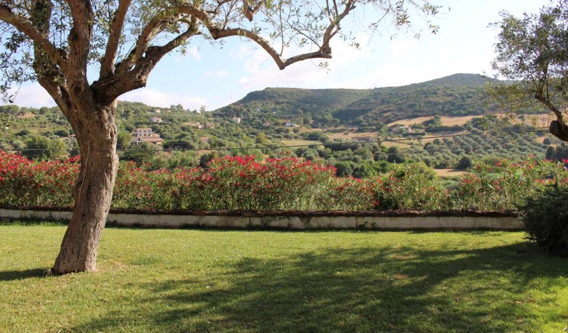 ألغيرو B&B Kapi Country المظهر الخارجي الصورة
