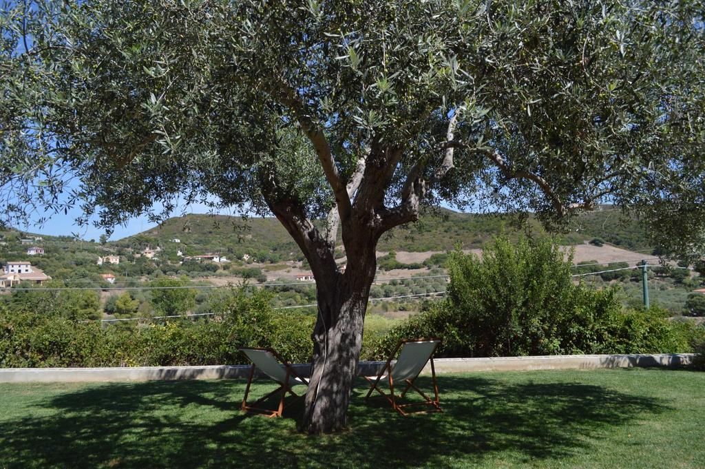 ألغيرو B&B Kapi Country الغرفة الصورة