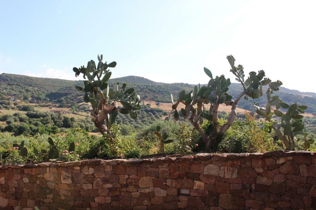 ألغيرو B&B Kapi Country المظهر الخارجي الصورة